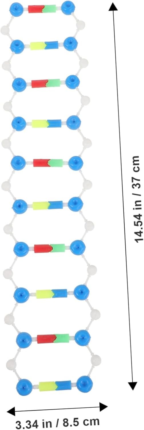 HOOTNEE 2pcs DNA Model Kit Double Helix Learning Tool for Science Education Student's Teaching Aid