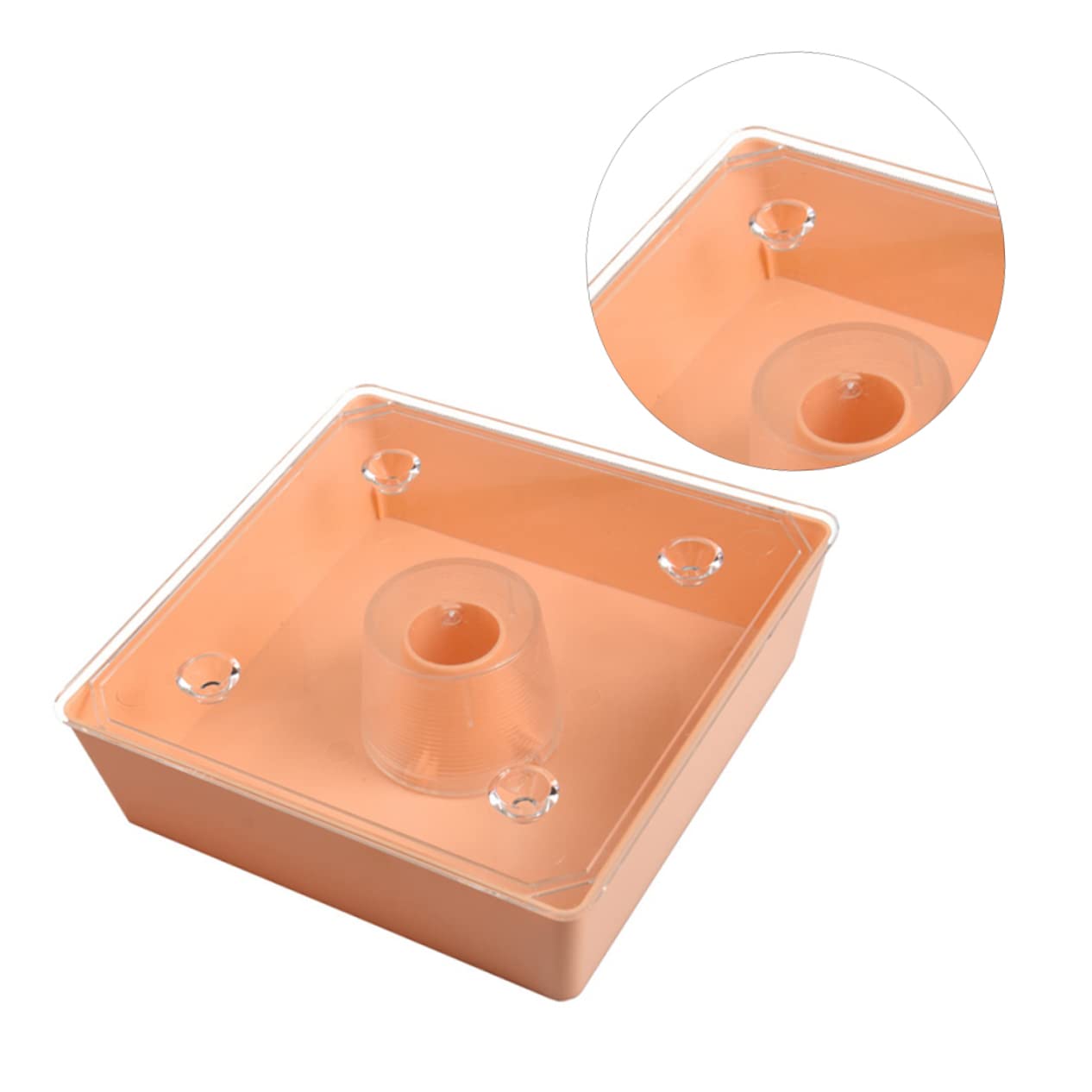 TOYANDONA Distributore per Api Alimentarper Alveari Accessorio Pratico per Apicoltura Facile da Installare e Resistente