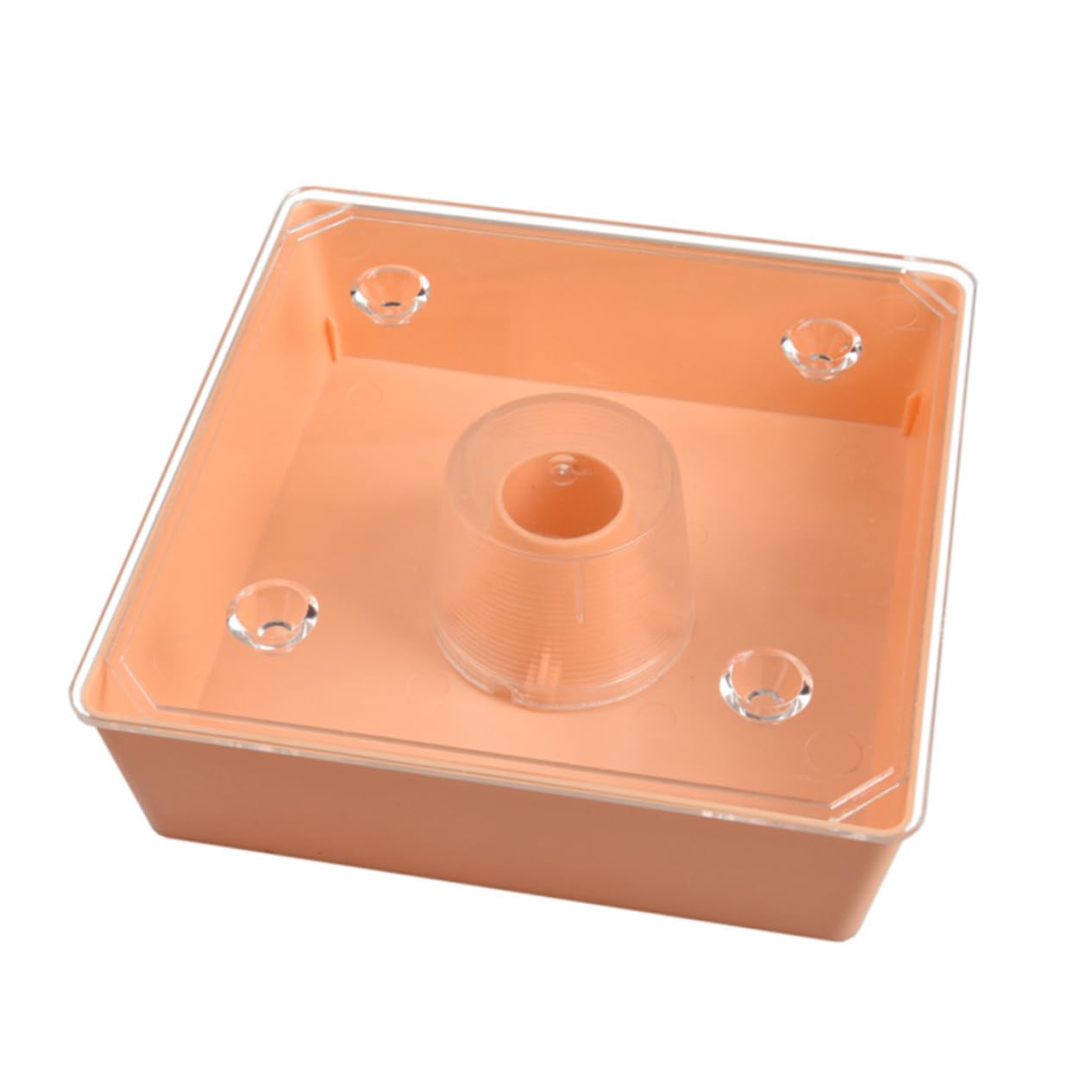 TOYANDONA Distributore per Api Alimentarper Alveari Accessorio Pratico per Apicoltura Facile da Installare e Resistente