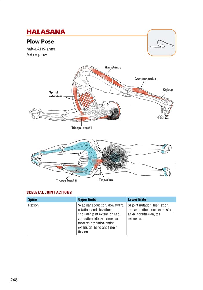 Yoga Anatomy