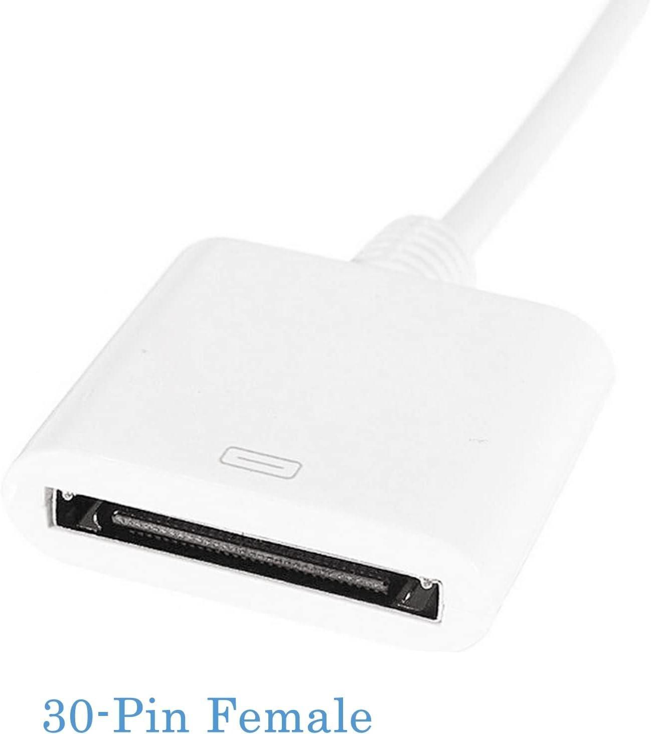 30 Pin to USB C 30 Pin Female to USB 3.1 Type C Male USB-C Adapter Cable Computers Components Accessories (White)