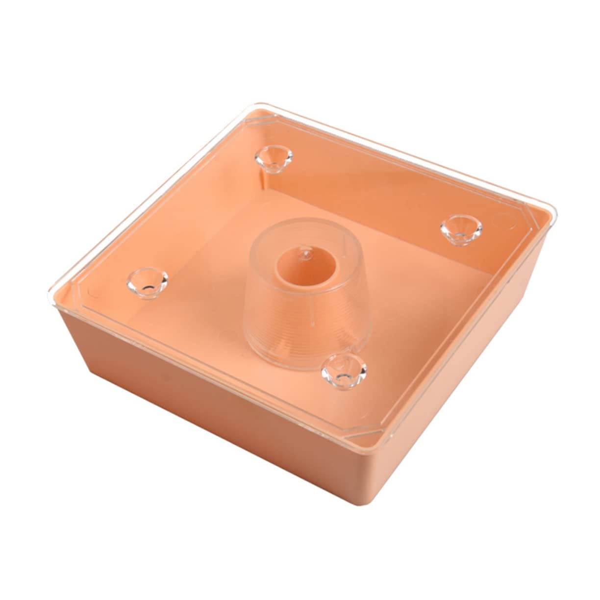 TOYANDONA Distributore per Api Alimentarper Alveari Accessorio Pratico per Apicoltura Facile da Installare e Resistente