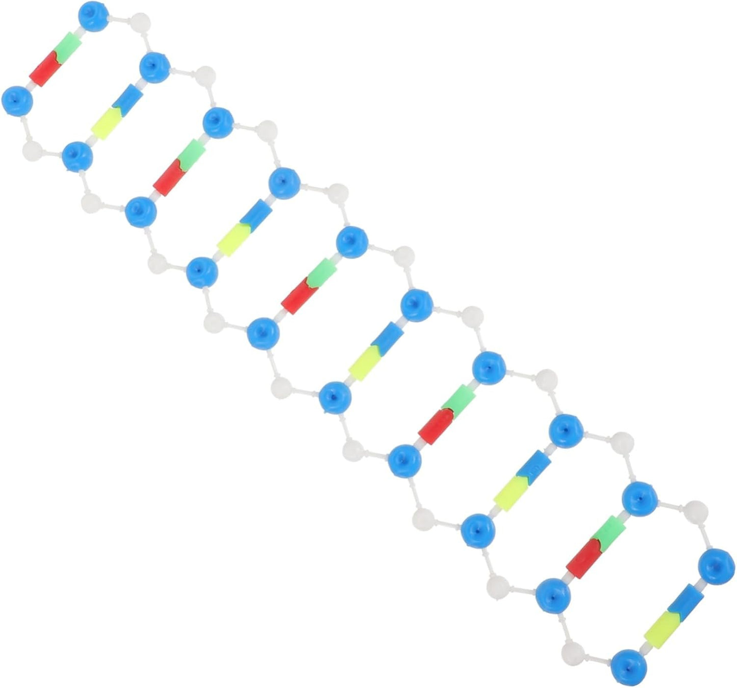 HOOTNEE 2pcs DNA Model Kit Double Helix Learning Tool for Science Education Student's Teaching Aid