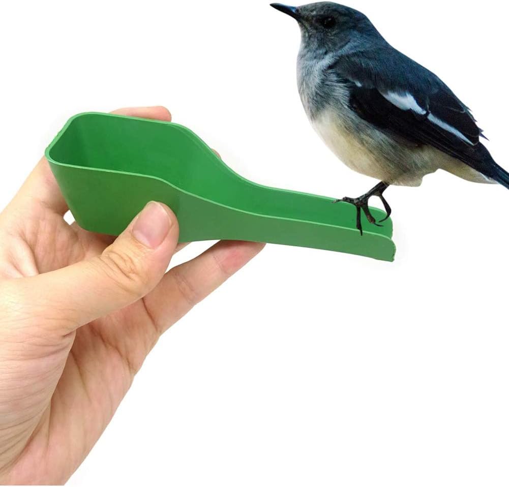 4pcs Green Bird Feeder Spoon Plastic Parrot Feeding Scoops Hand Food Feeding Tableware Birds Feeding and Watering Supplies