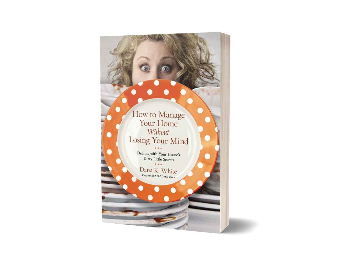 How to Manage Your Home Without Losing Your Mind: Dealing with Your House's Dirty Little Secrets