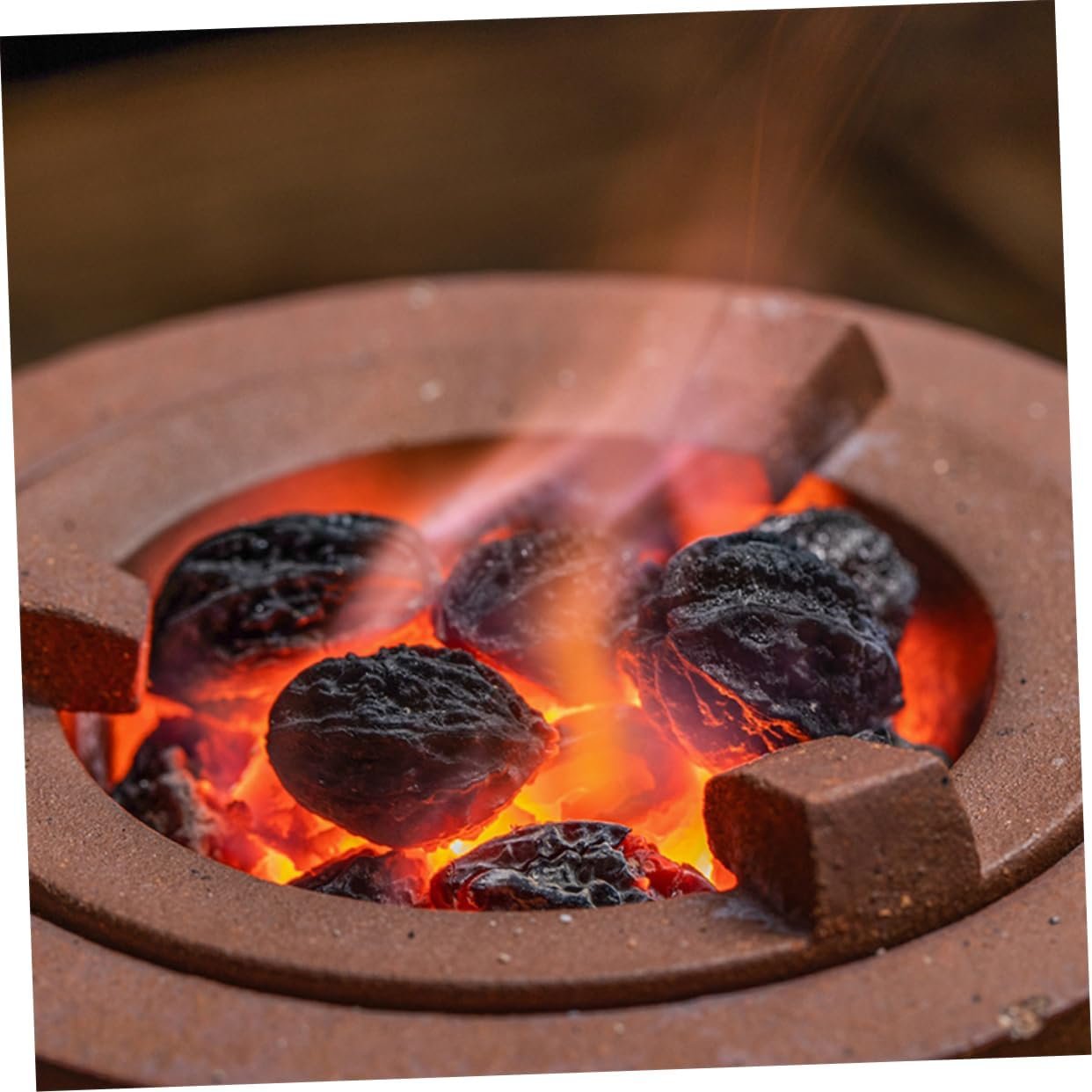 GANAZONO 2pcs 1 Fireplace Charcoals 1 Bag Grilling Charcoals for Outdoor Activities Household Use