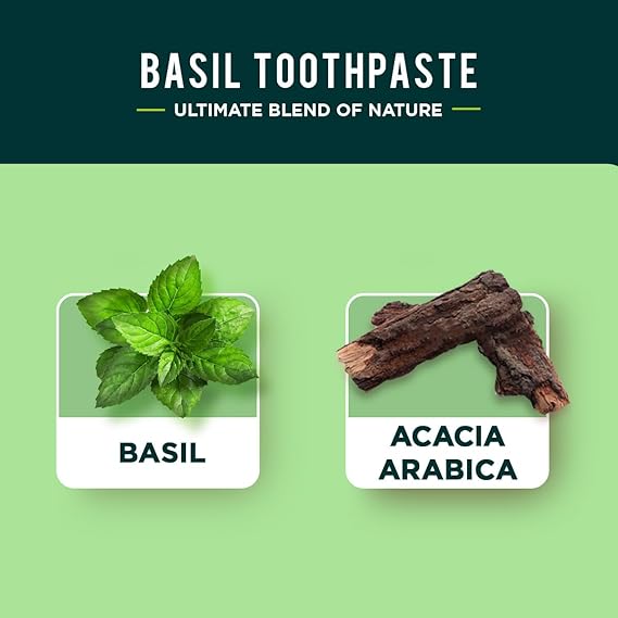 Dabur Herbal Toothpaste - Oral Care with All Natural, Fluoride-Free Formula & Healthy Toothpaste Bliss- Infused Brilliance for a Naturally Fresh Breath- Basil 100ml (Pack of 3)