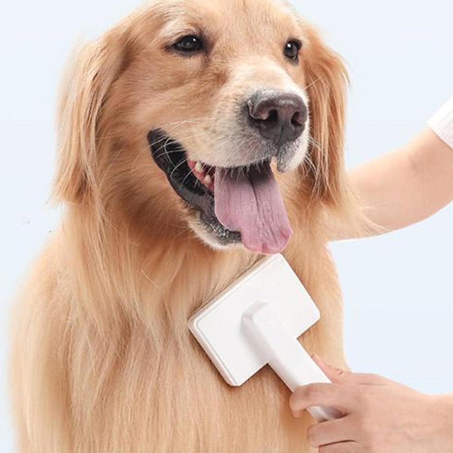 Dog Brush for Shedding, Pet Grooming Tool, Ergonomic Detangling Design, Dematting & Bath Massage Bristles, Soft Grip Handle, Blue 1-Pack, For Puppy Home Care Shower & Coat
