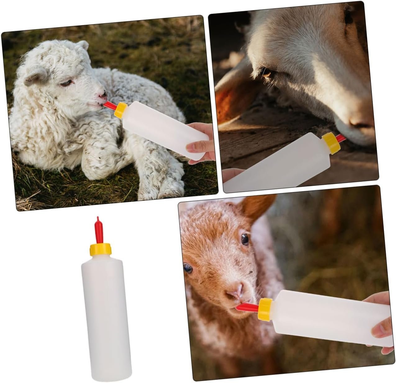 VICASKY 1Set Lamb Feeding Bottle with Pacifiers Reusable Goat Milk Bottle for Calves Lambs Sheep