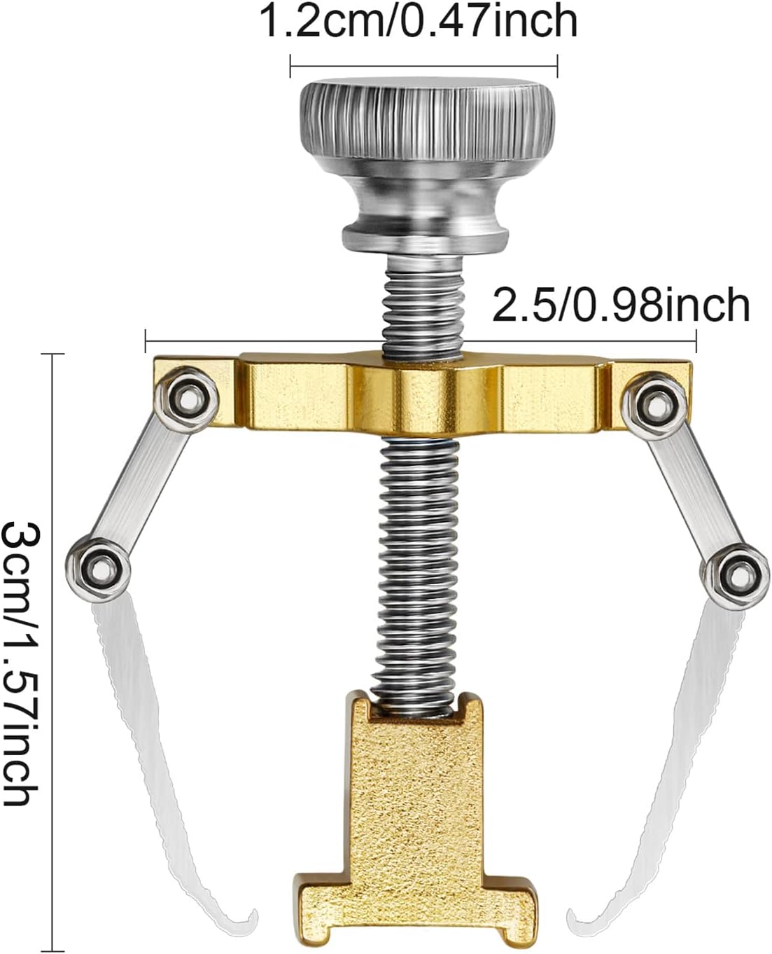 2 Pieces Ingrown Toenail Tool Ingrown Toenail Tool Stainless Steel Toe Cap Foot Care Tool for Paronychia (Gold)