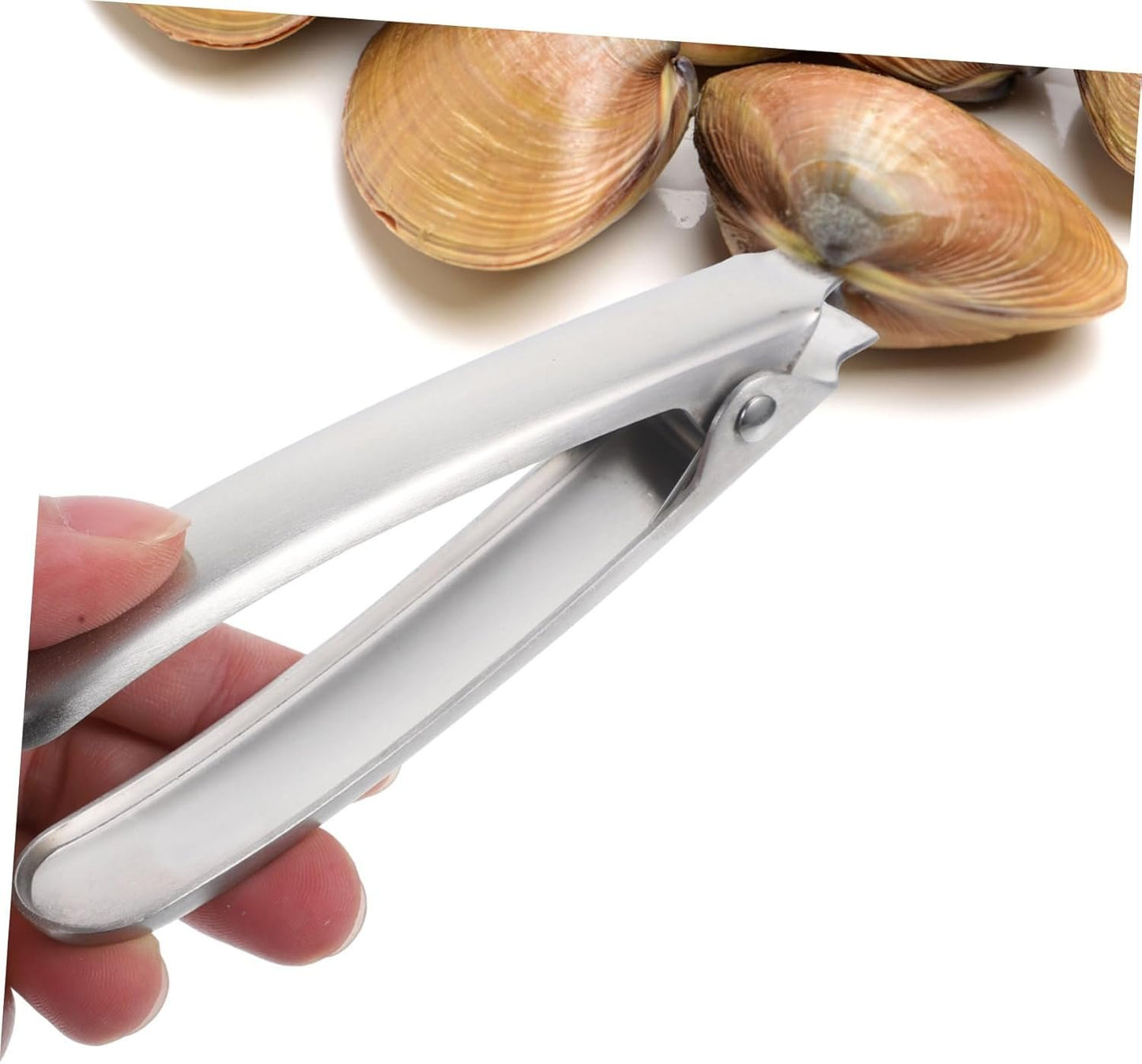 Zerodeko 1 Pz Apriostriche Utensili per di Mare Apriostriche Morsetto in Acciaio Inox Gadget da Cucina