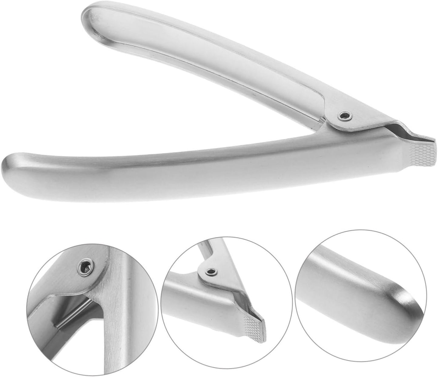 Zerodeko 1 Pz Apriostriche Utensili per di Mare Apriostriche Morsetto in Acciaio Inox Gadget da Cucina