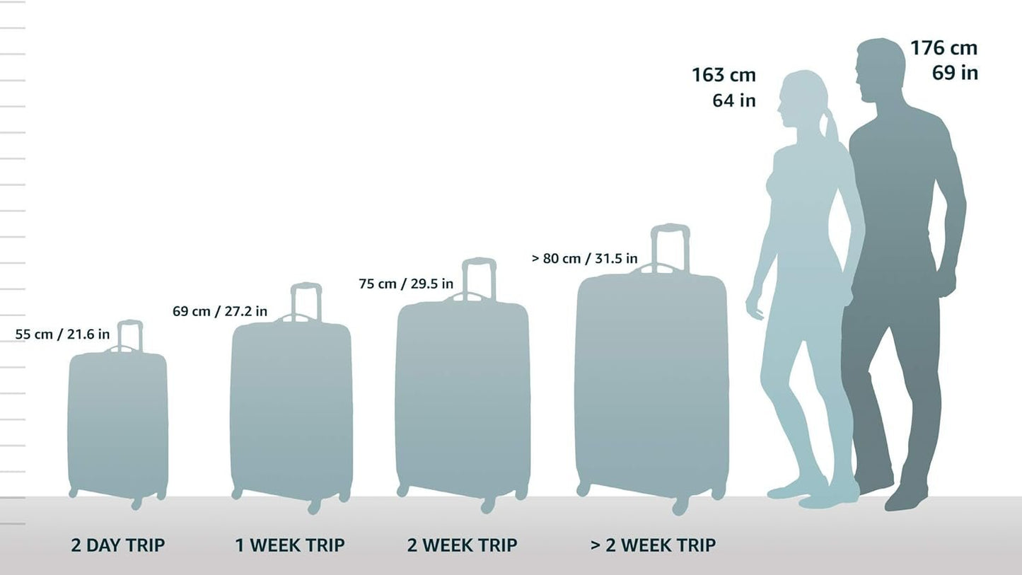 DELSEY PARIS Unisex-Adult Titanium Hardside Expandable Luggage with Spinner Wheels Luggage- Luggage Set