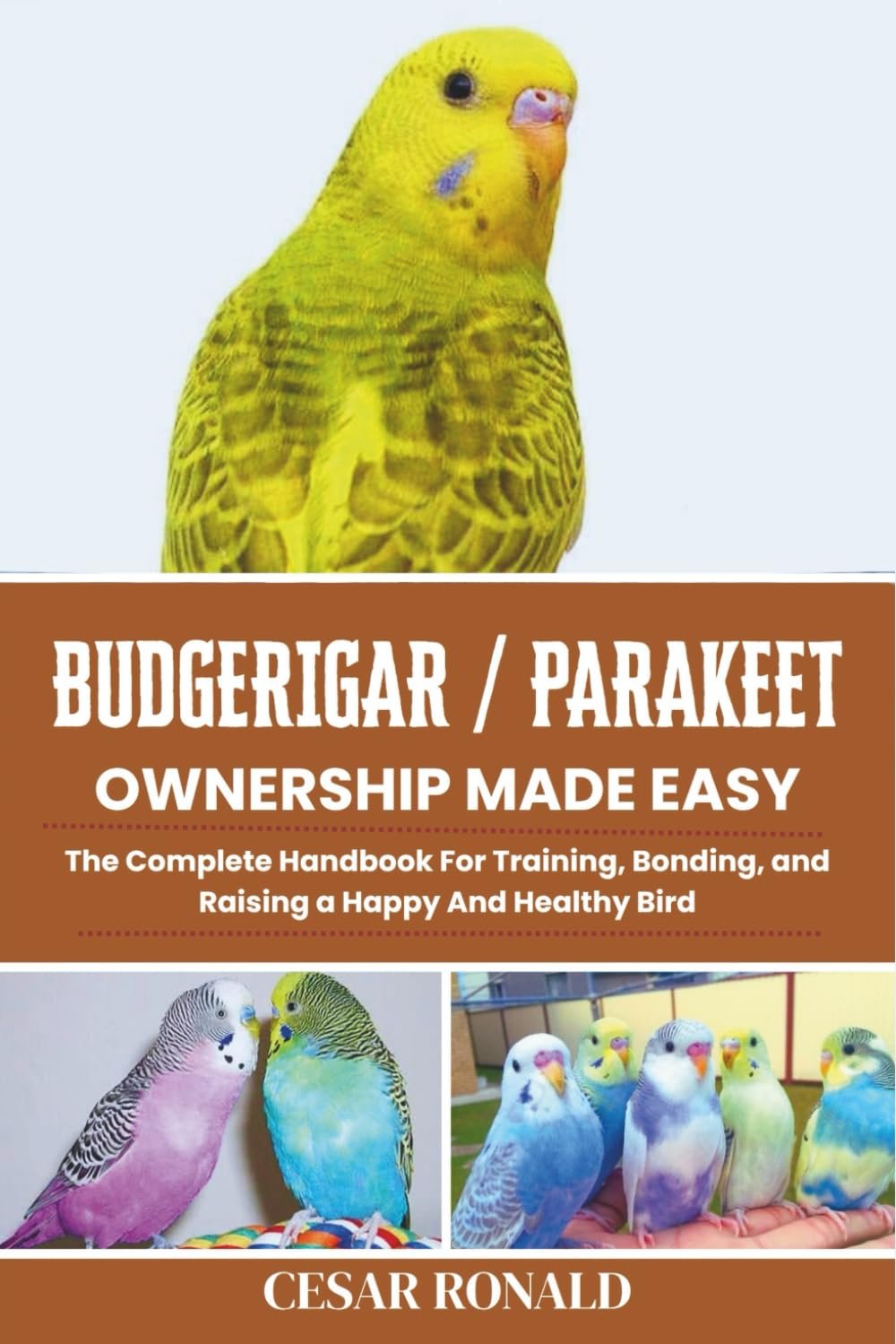 Budgerigar / Parakeet Ownership Made Easy: The Complete Handbook For Training, Bonding, and Raising a Happy And Healthy Bird