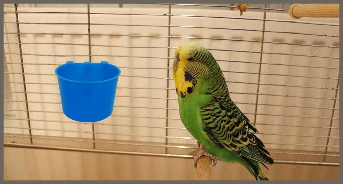 ORIBUKI 40 Pack Cage Cups Birds Feeders Seed Bowl Chicken Feeding Watering Dish Rabbit Water Food Hanging Wire Cages Box 8oz Coop Cups for Pet Parrot Parakeet Gamefowl Poultry Pigeon (Blue)