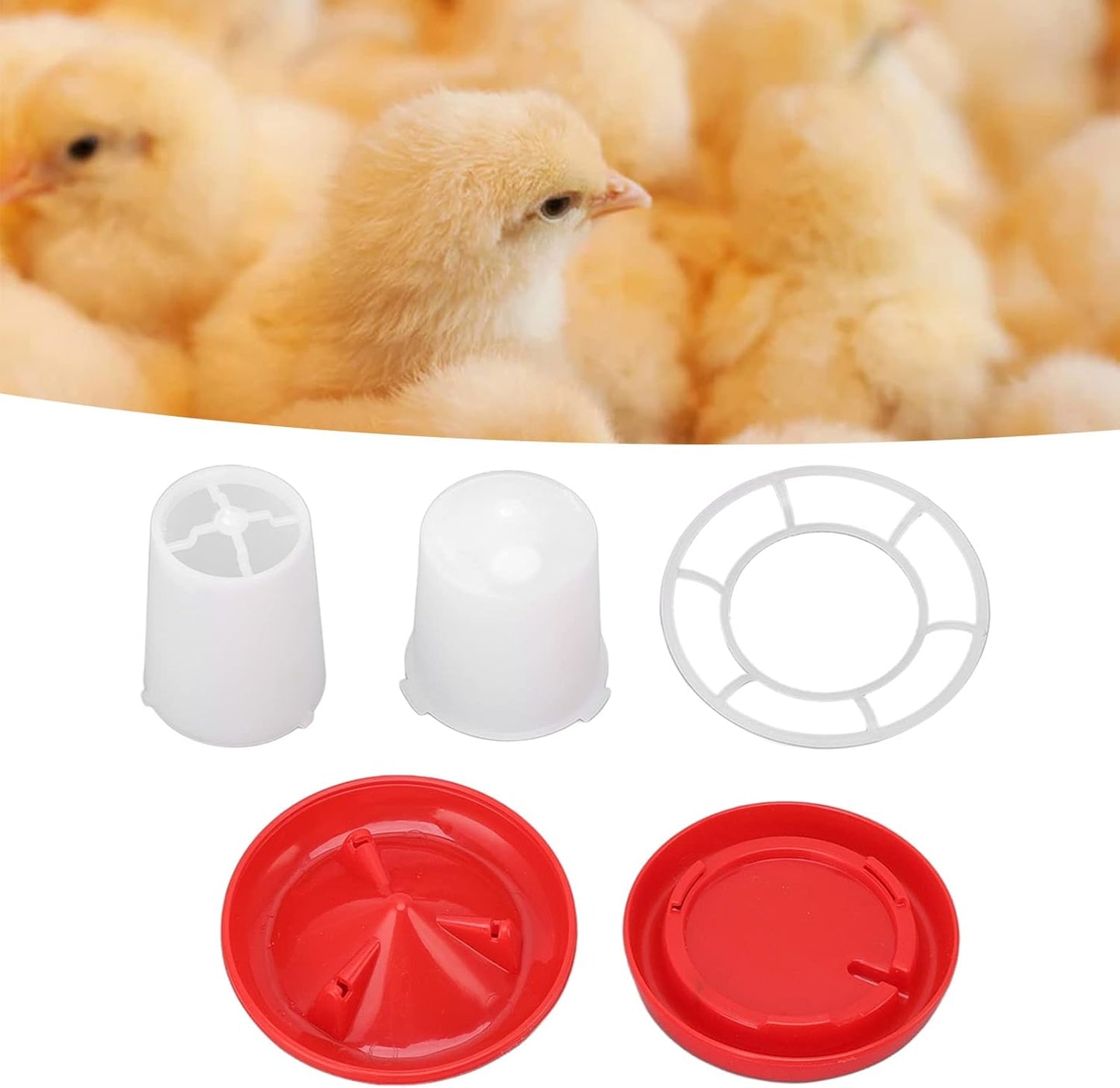 Poultry Feeder and Waterer Combo, Easy to Clean Automatic Feeding and Watering Chick Feeder Resilient for Chicks