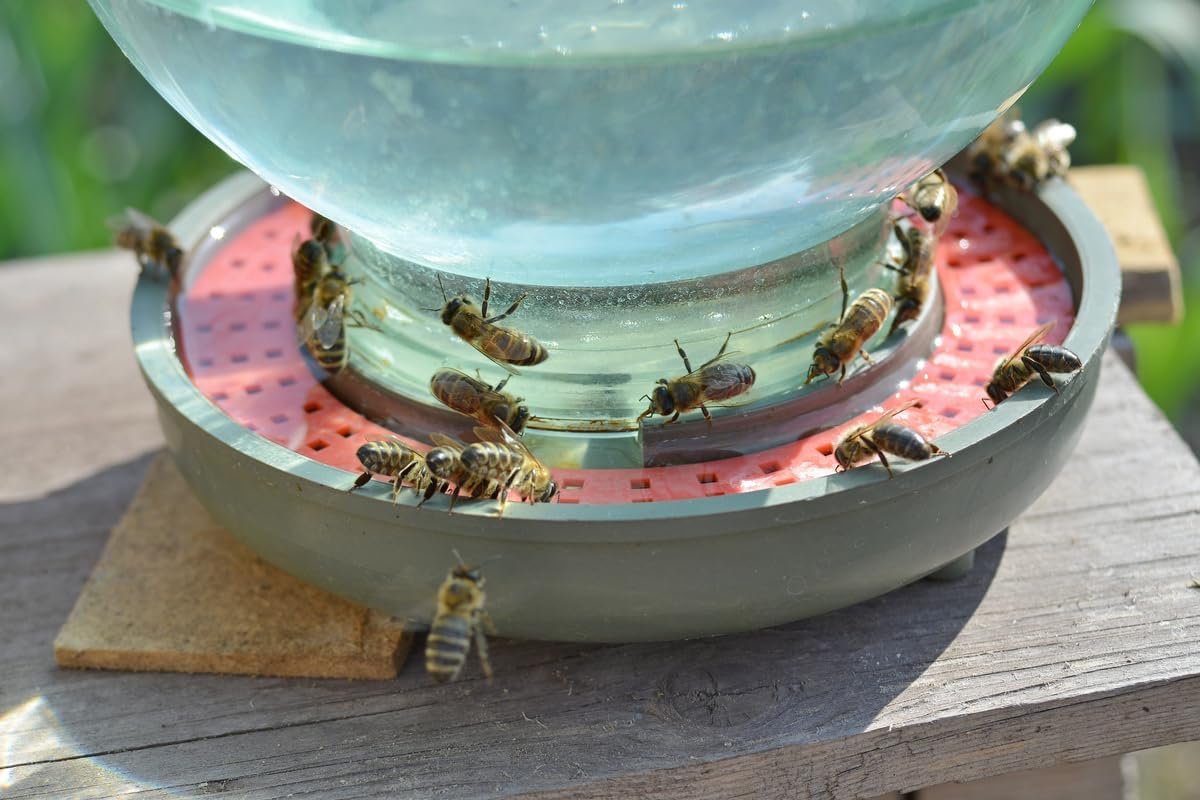 ZAVHOZ Bees Feeding Bowl Bee Feeder Hive Water Drinker Sugar Syrup Drinking Dispenser Tool Plastic Mesh Dish Beehive Watering Station Apiary Accessory Beekeeping Honey Production (Yellow)