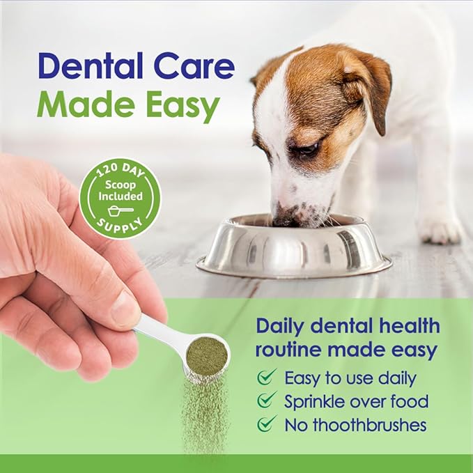 NuLife Natural Pet Health Dog Teeth Cleaning Powder, Dog Plaque and Tartar Remover, Bad Breath Treatment for Dogs with USDA Organic Sea Kelp Powder, Dog Dental Care Made Easy, for All Ages, 12 oz