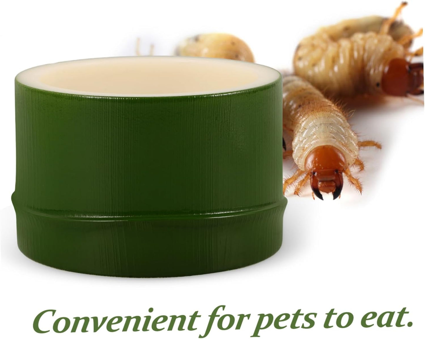 Generic Reptile Food Bowl for Lizard Versatile Food Holder Convenient Feeding Watering Dish for Reptiles and Insects for Pet Owners