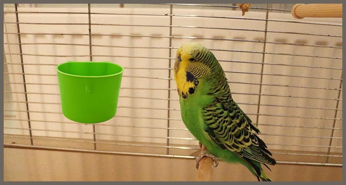ORIBUKI 10 Pack Cage Cups Birds Feeders Seed Bowl Chicken Feeding Watering Dish Rabbit Water Food Hanging Wire Cages Box 8oz Coop Cups for Pet Parrot Parakeet Gamefowl Poultry Pigeon (Green)