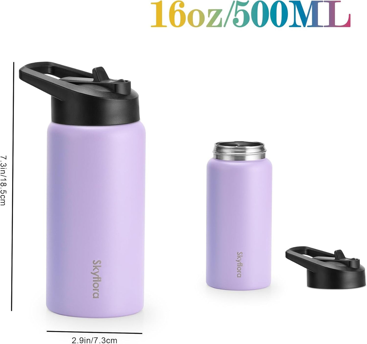 16oz Water Bottle with Straw Lid, Single Wall Stainless Steel, Dishwasher Safe & Leak Proof Drinkware for School Sports Travel Camping (Cosmic Lilac)