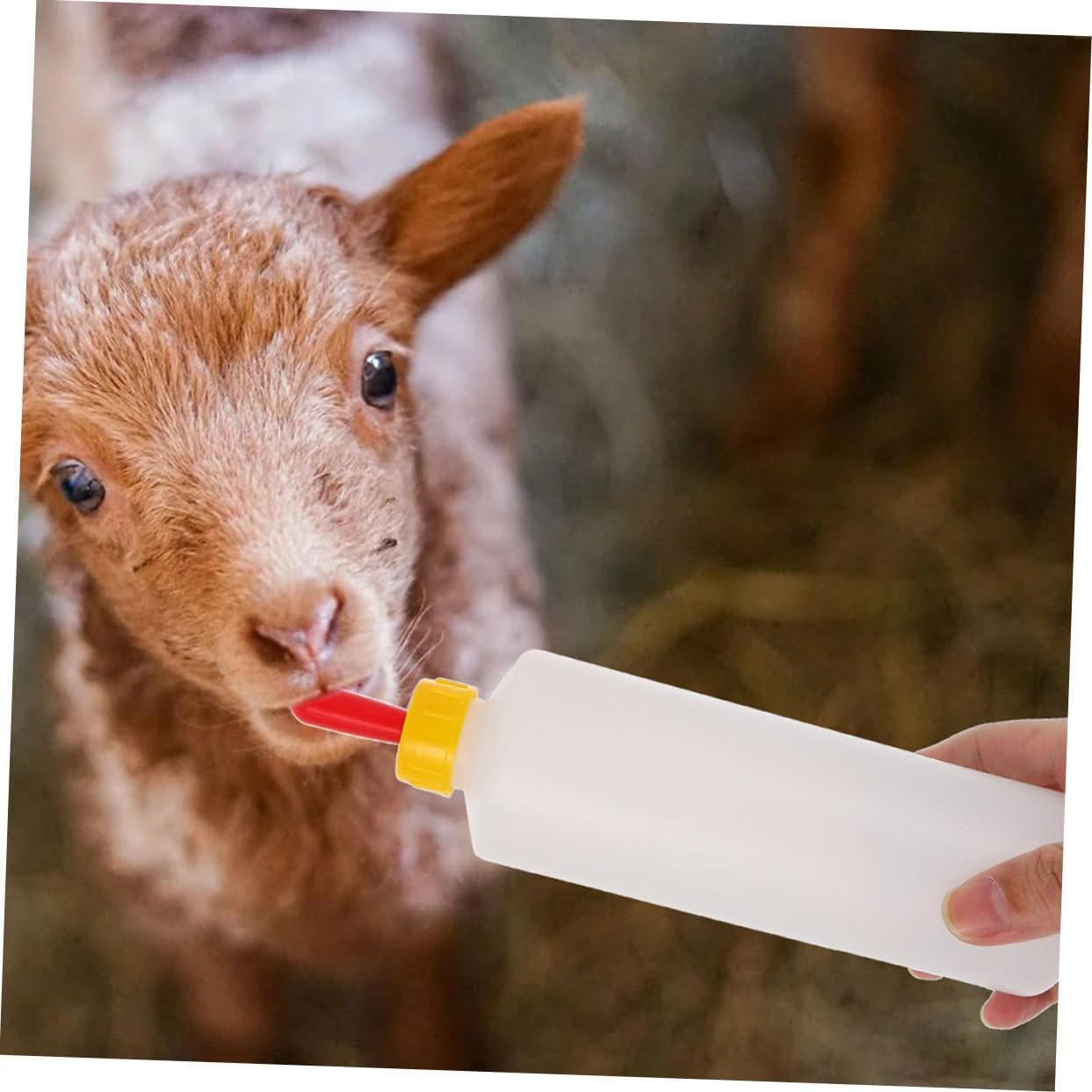 VICASKY 1Set Lamb Feeding Bottle with Pacifiers Reusable Goat Milk Bottle for Calves Lambs Sheep