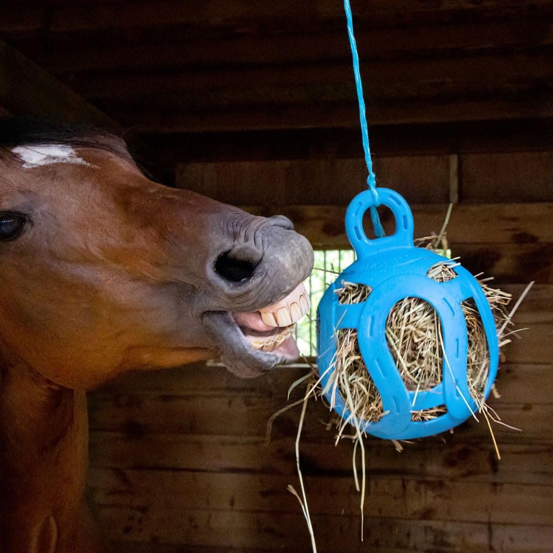 Horsemen's Pride Jolly Hay Ball Stall Toy for Horses, Blue