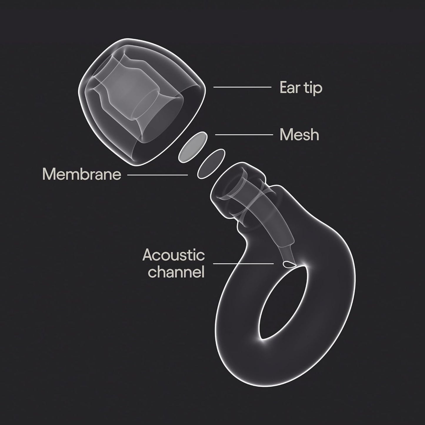 Loop x Coachella Experience 2 Earplugs – Hearing Protection for Concerts & Festivals, Live Music – 17dB Noise Reduction