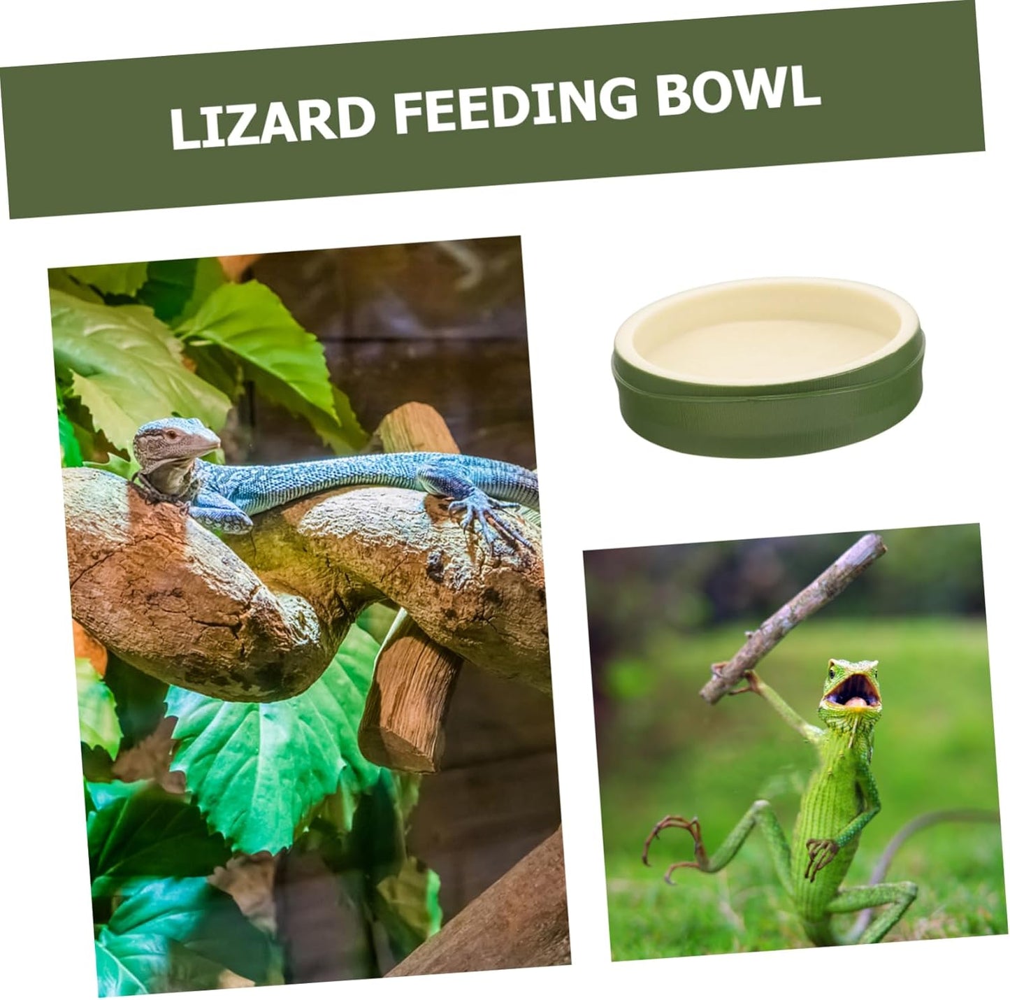 INOOMP Reptile Feeding and Watering Bowl Durable Plastic Reptile Dish with Non Slip Base for Tortoises Lizards and Snakes Easy to Clean Terrarium Accessory for Effortless Maintenance