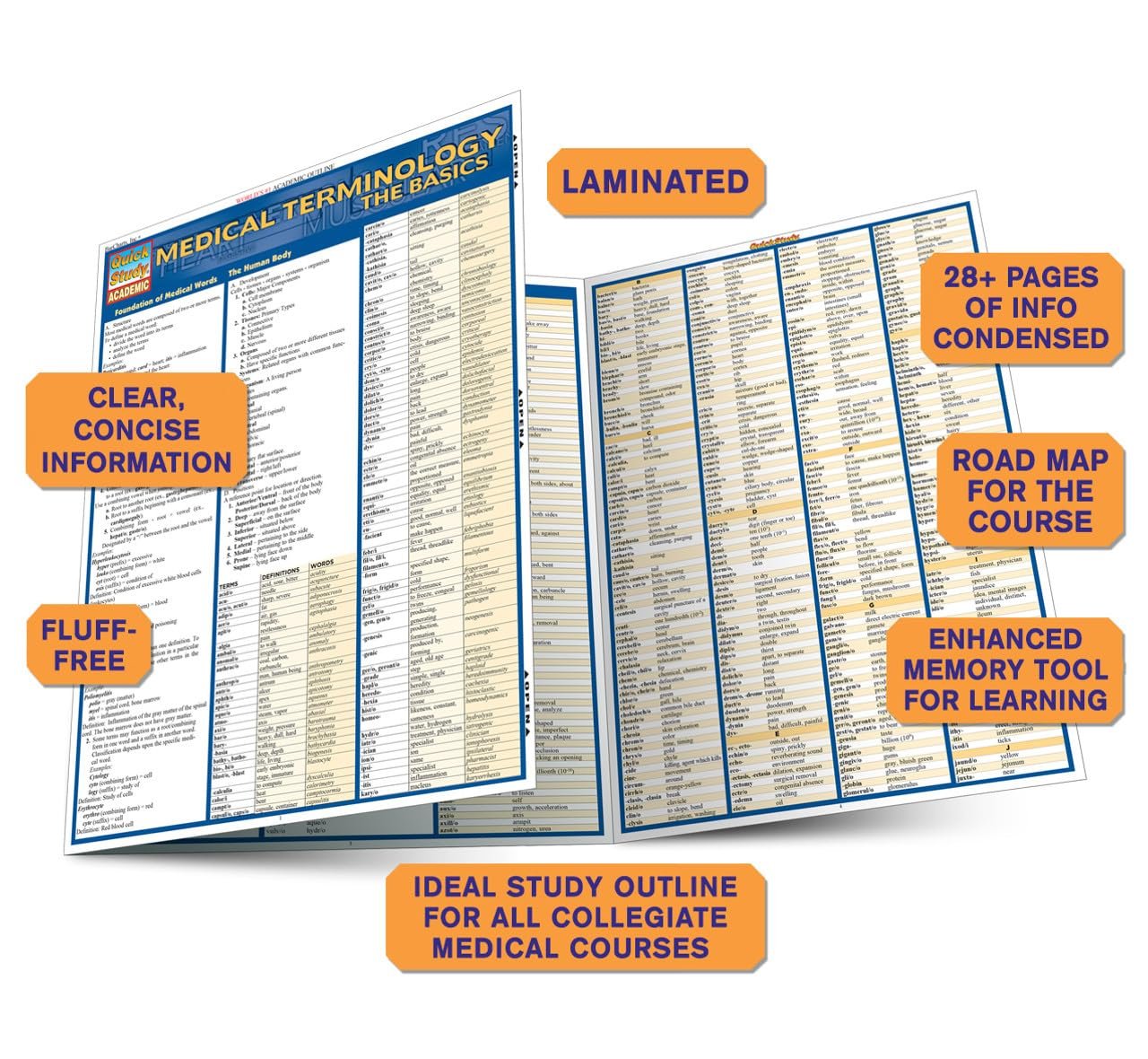 Medical Terminology: The Basics: a QuickStudy Laminated Reference Guide