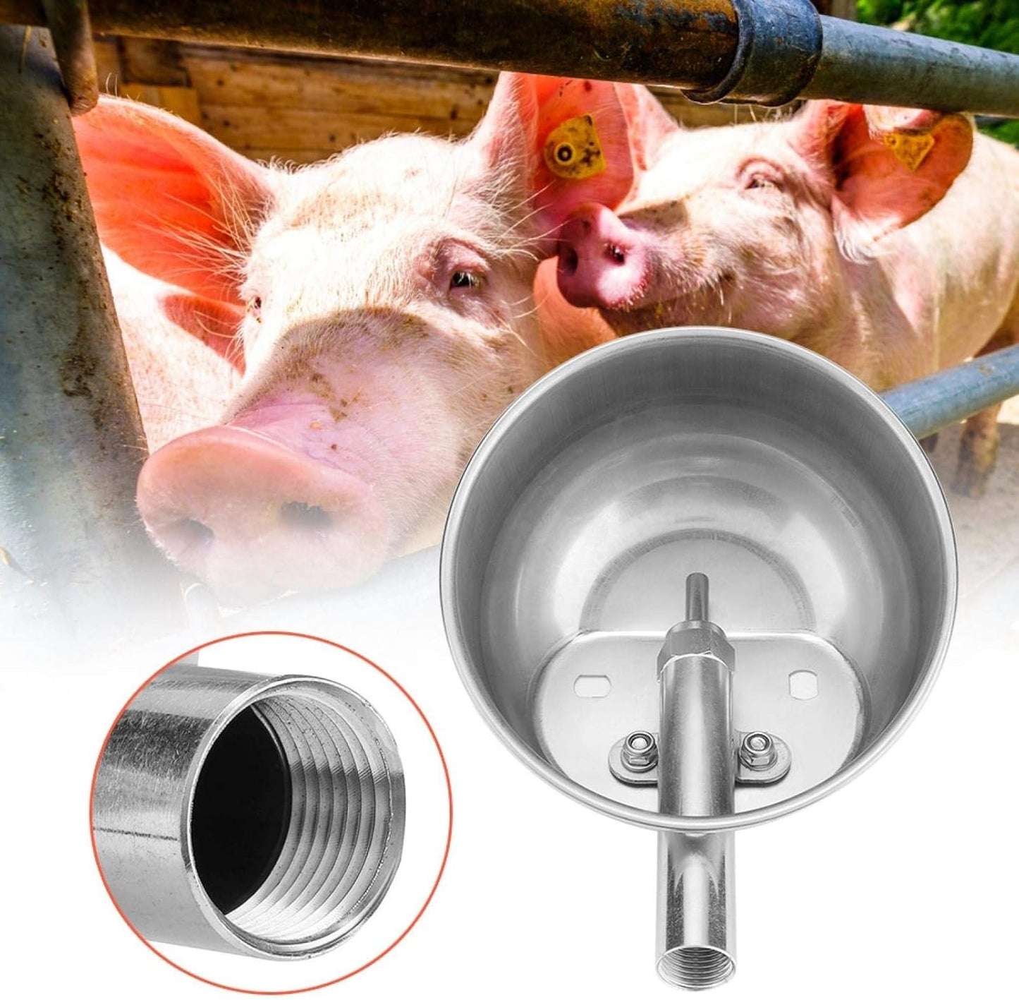 Waterer, Stainless Steel Automatic Water Bowl Piglets Drinking Bowl Water Trough for Livestock Small Horse Cattle Goat (15cm)