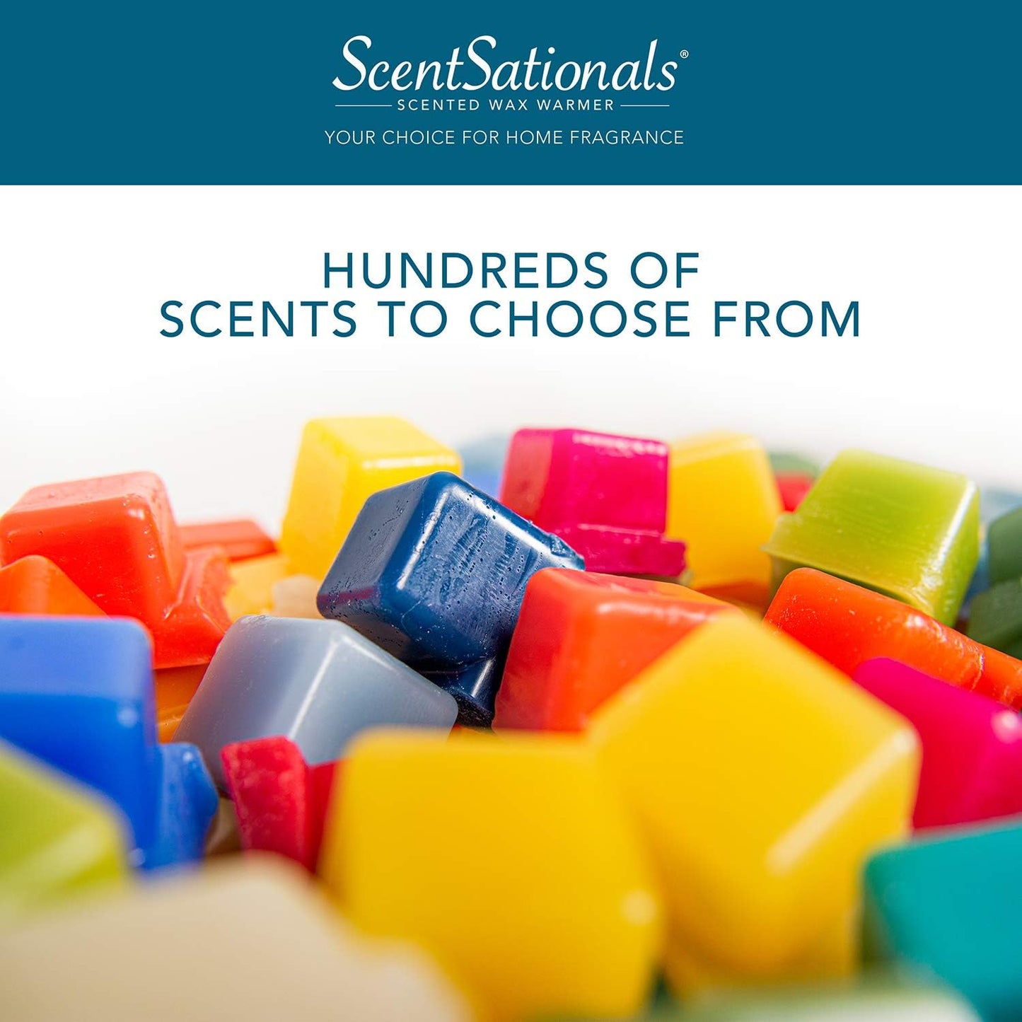 Scentsationals Scented Wax Cubes - Vanilla Bean - Fragrance Wax Melts Pack, Electric Home Warmer Tart, Wickless Candle Bar Air Freshener, Spa Aroma Decor Gift - 10oz (24-Cubes)