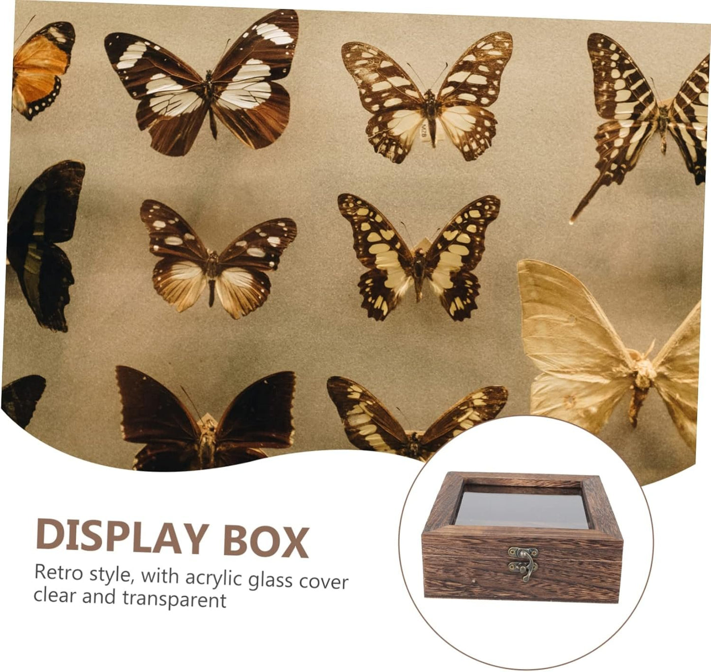 IWOWHERO Box specimen box Wooden Jewelry Tray Storage Wood Trunk Viewer Wooden Storage Chests Display Case with Glass flip type Showcase sample Acrylic butterfly specimen clamshell