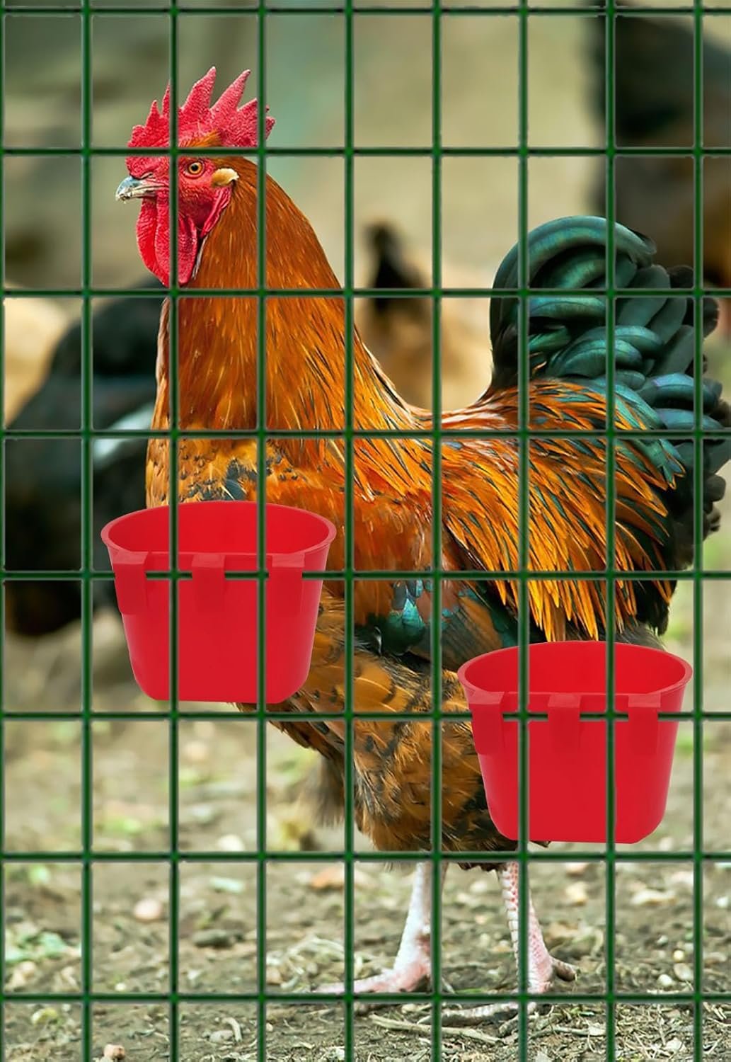 ORIBUKI 40 Pack Cage Cups Birds Feeders Seed Bowl Chicken Feeding Watering Dish Rabbit Water Food Hanging Wire Cages Box 8oz Coop Cups for Pet Parrot Parakeet Gamefowl Poultry Pigeon (Red)