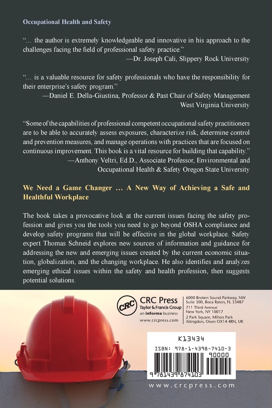 Workplace Safety and Health: Assessing Current Practices and Promoting Change in the Profession