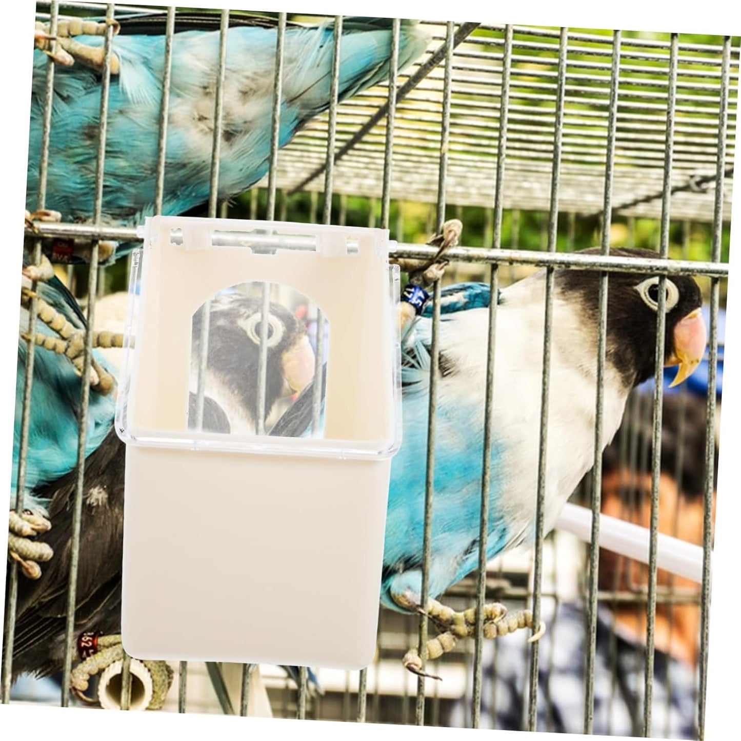 TOBBOMEY 4Pcs Durable Pigeon Feeders Multi Functional Hanging Box with Large Capacity for Feeding and Watering Easy Installation for Pigeon Loft Use