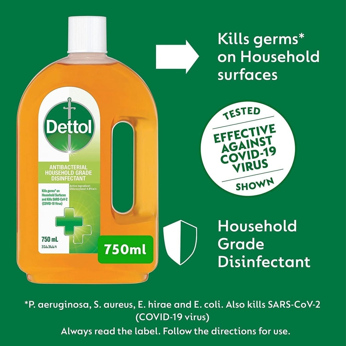 Dettol Antibacterial Household Grade Disinfectant Liquid, 750ml