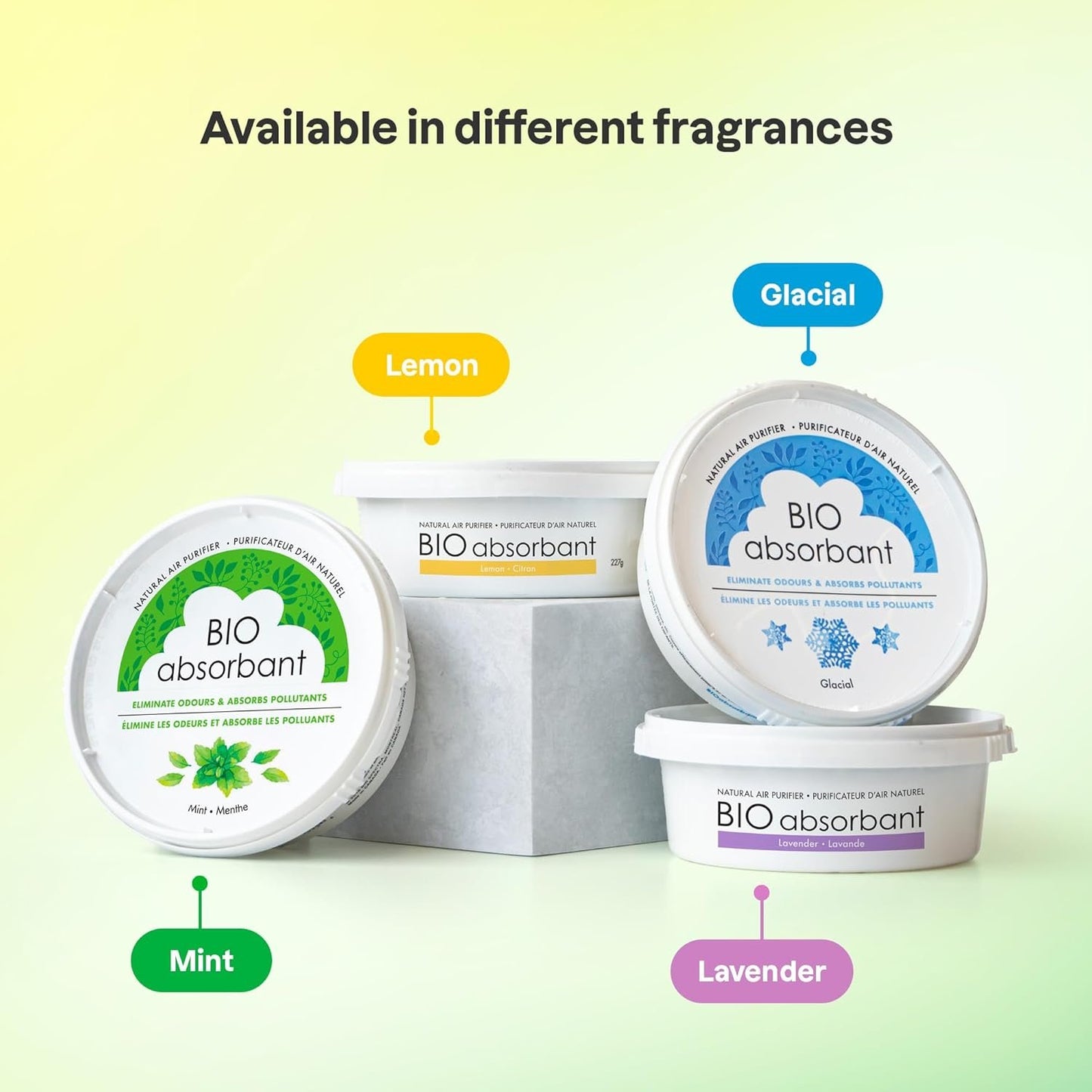ATTITUDE Bio Absorbant Air Purifier with Activated Carbon Freshener, Made in Canada, Odor Remover, Plant and Mineral-Based, Vegan, Mint, 227 grams