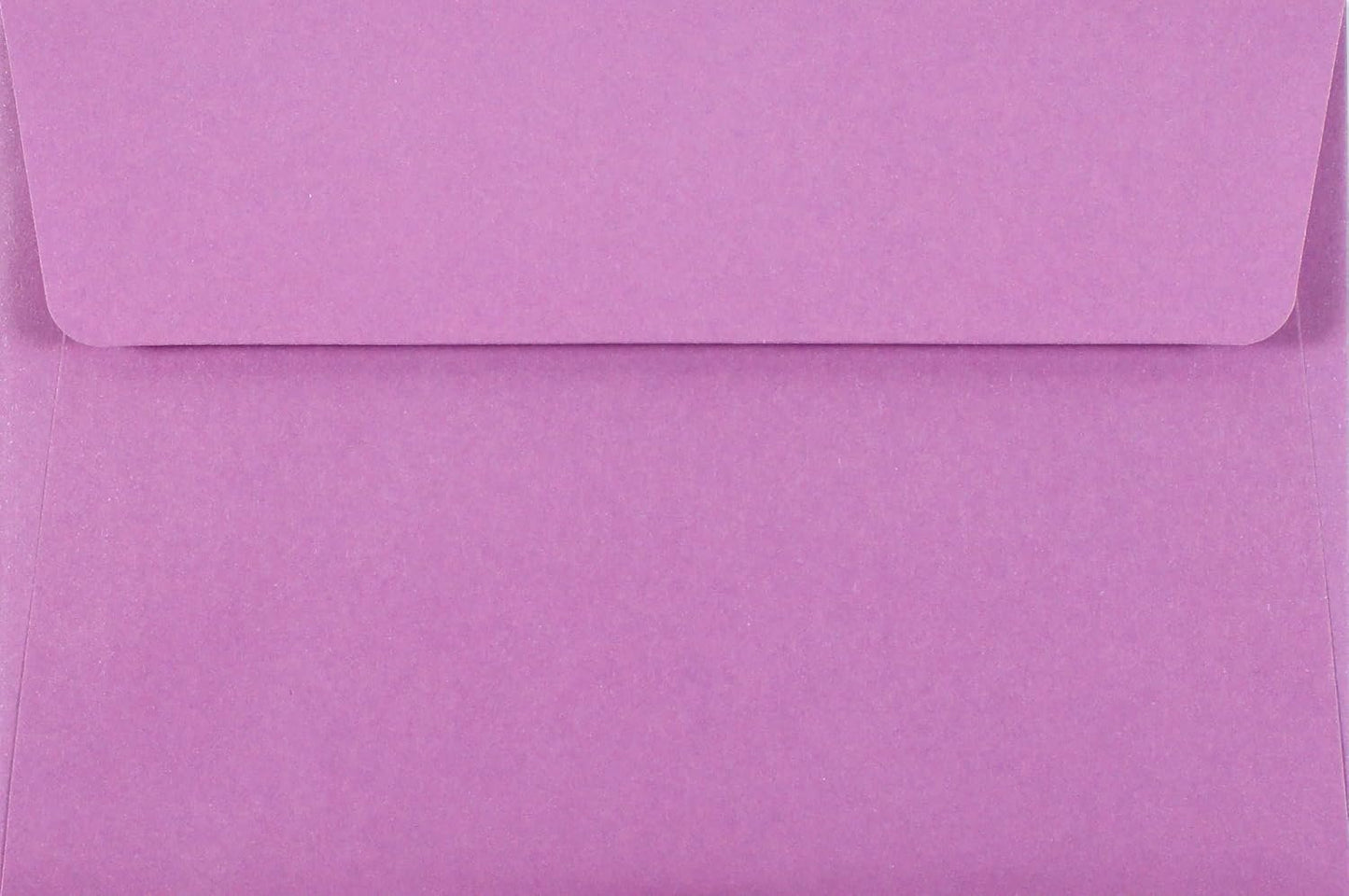 Fuchsia Blooms Stationery Set (Boxed Stationery)
