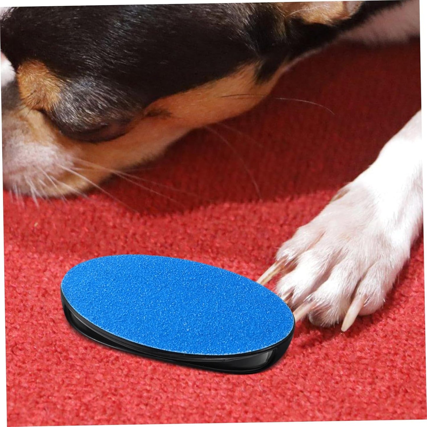 Alasum Versatile Pet Nail Care Tool Dual Use for Dogs Cats Safe Portable Nail File