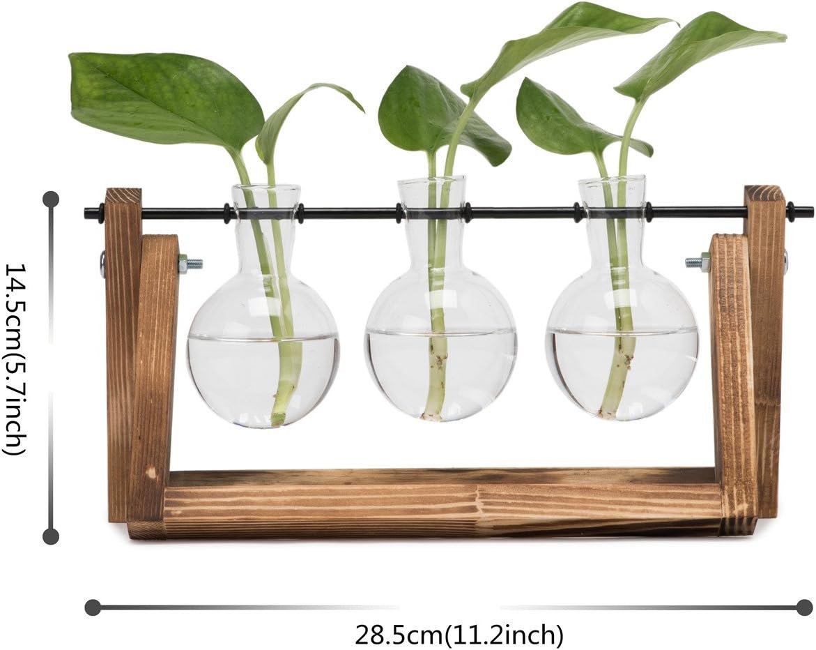 Hyindoor Modern Hydroponic Glass Bulb Vase, Home Office Garden Decoration