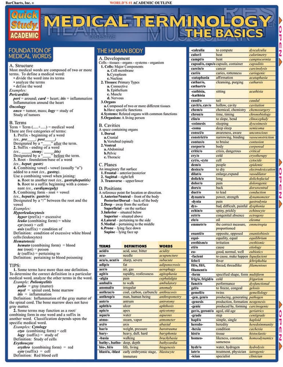 Medical Terminology: The Basics: a QuickStudy Laminated Reference Guide