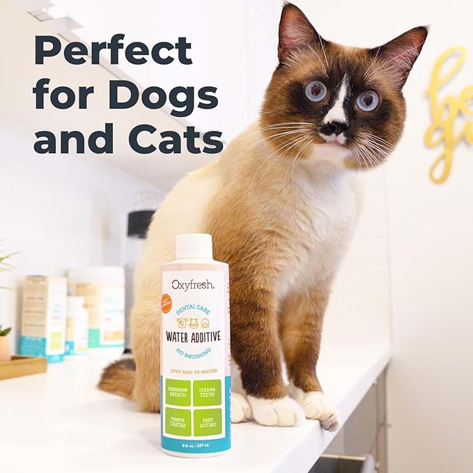 Best Way to Eliminate Bad Dog Breath and Cat Bad Breath - Fights Tartar & Plaque - So Easy, Just Add to Water! Vet Recommended 16 oz.
