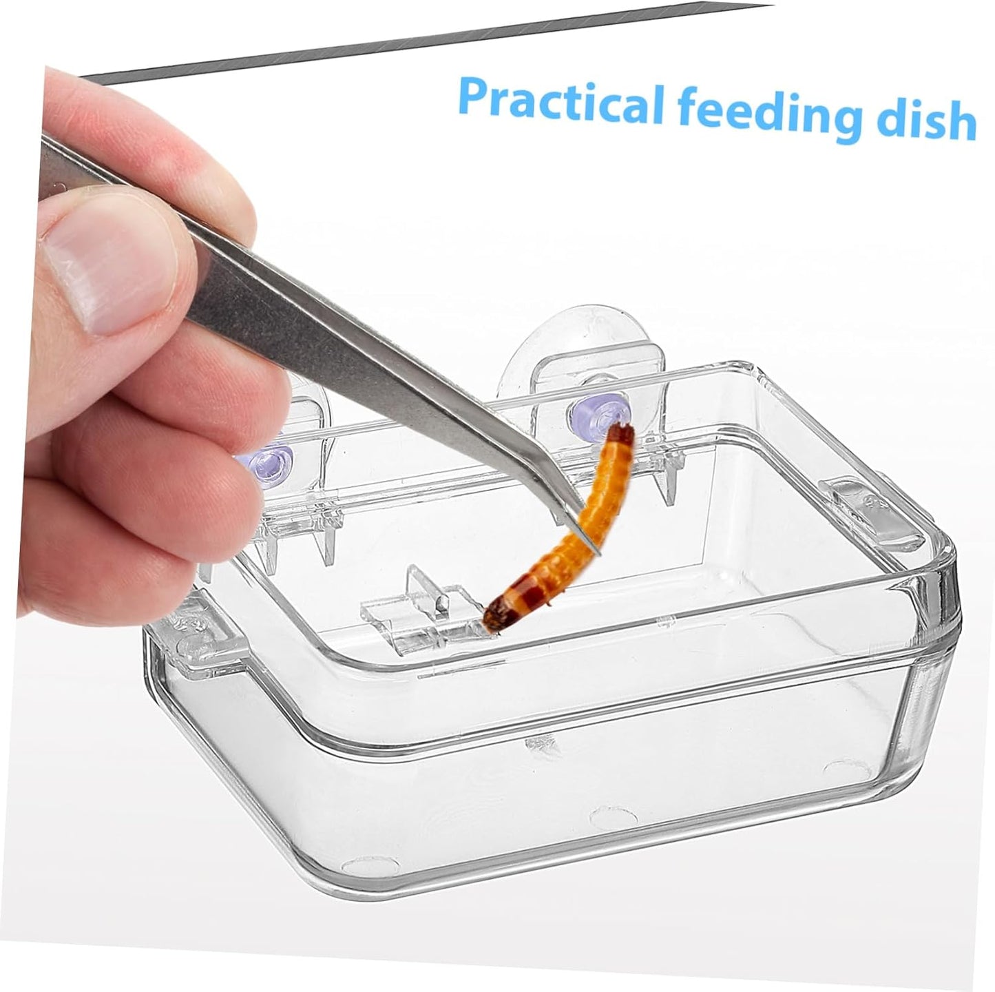 BCOATH 2Pcs Reptile Feeder Cup and Water Dish Escape Feeding Bowl with Transparent Design for Lizard Bearded Dragon Gecko for Watering and Feeding Reptiles