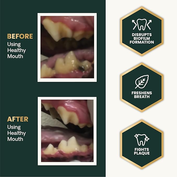 VetriScience Healthy Mouth Dog Dental Powder, Perio Support Clinically Tested Dental Powder for Dogs and Cats, Freshen Breath, Control Plaque & Tartar, Oral Health, 4.2 oz