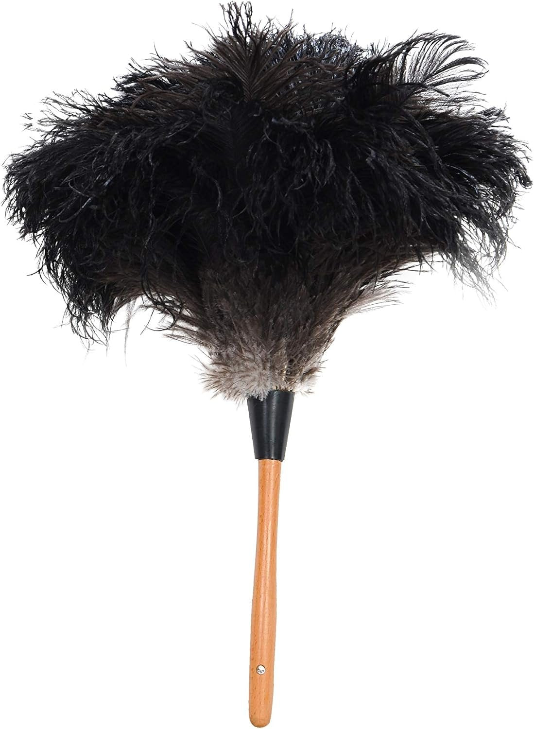 ROYAL DUSTER Black Ostrich Feather Duster (14")