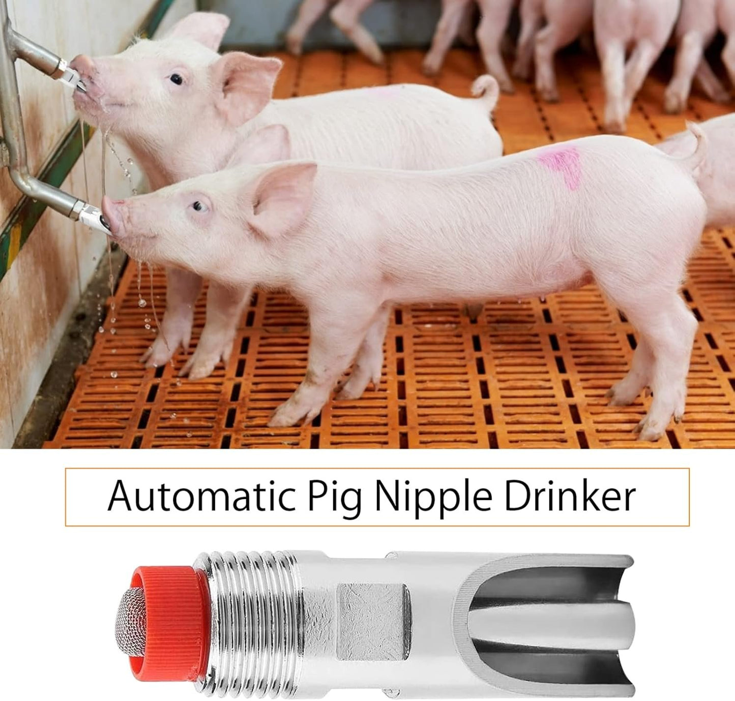 5pcs Water Nippler Stainless Steel Automatic Animal Drinker Tool Easy to Use and Maintain Feeding Watering Set Red Cap Duckbilled Home Farm Drinking Supplies