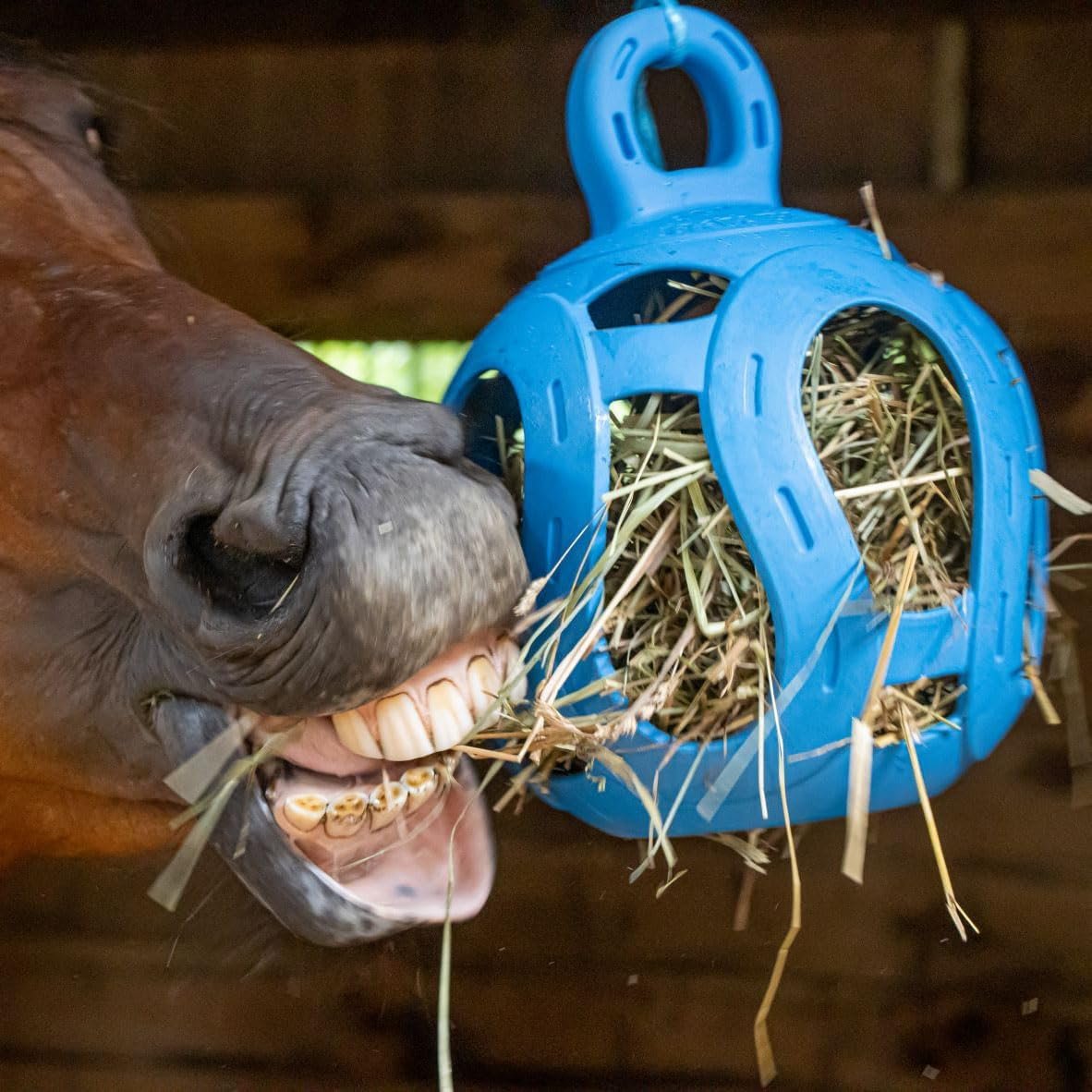 Horsemen's Pride Jolly Hay Ball Stall Toy for Horses, Blue