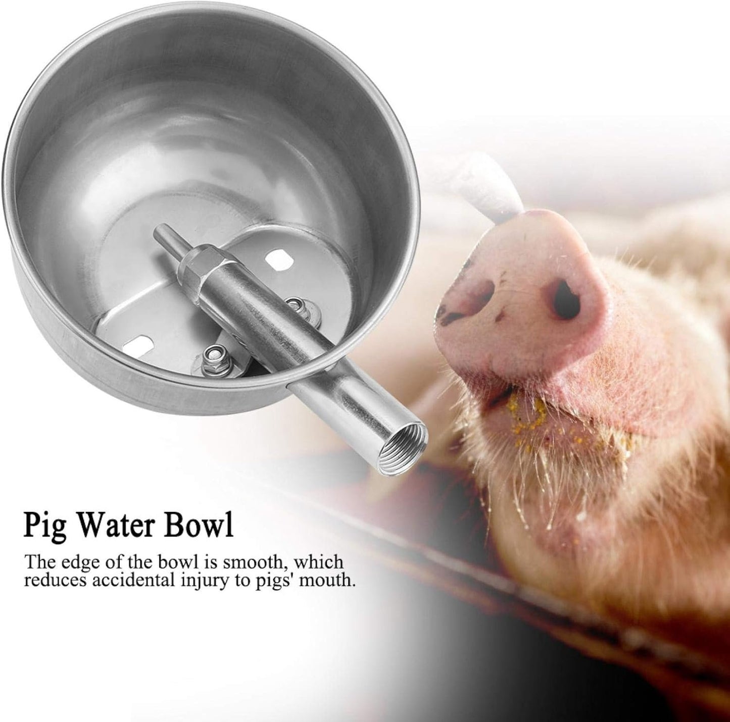 Waterer, Stainless Steel Automatic Water Bowl Piglets Drinking Bowl Water Trough for Livestock Small Horse Cattle Goat (15cm)