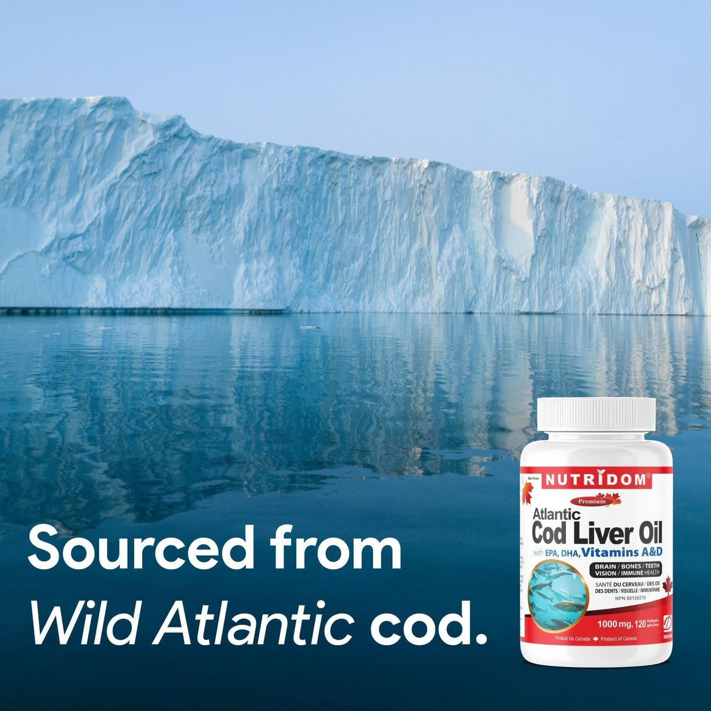 NUTRIDOM Atlantic Cod Liver Oil 1000 mg – 120 Fish Gelatin Softgels – Rich in EPA, DHA, Vitamins A & D – Non-GMO, Gluten-Free, Made in Canada